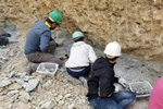 Web del Grupo Mineralogista de Madrid