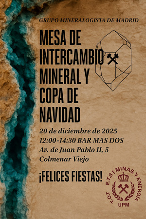 Copa Navidad 2025