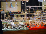 FEM. IX Feria de Minerales y Fósiles de La Unión