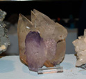 GMA.  Naturalia 2010. Elche