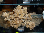 GMA. XVI Feria de Minerales y Fósiles de la Unión