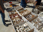 GMA. XXXIII Mesa de Minerales de Monteluz. Beas de Granada