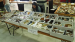 GMA. 7ª Mesa de Minerales de Extremadura. Santa Marta de los Barrios. Badajoz