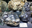 GMA. MINERALEXPO Barcelona Sants 2021