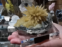 GMA. INTERMINERAL ZARAGOZA 2021. 25 Feria de Minerales, Fósiles y Gemas