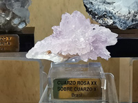 GMA. INTERMINERAL ZARAGOZA 2021. 25 Feria de Minerales, Fósiles y Gemas