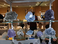 GMA. INTERMINERAL ZARAGOZA 2021. 25 Feria de Minerales, Fósiles y Gemas