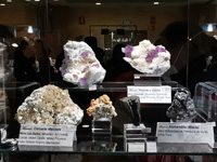GMA. INTERMINERAL ZARAGOZA 2021. 25 Feria de Minerales, Fósiles y Gemas