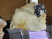 GMA. INTERMINERAL ZARAGOZA 2021. 25 Feria de Minerales, Fósiles y Gemas