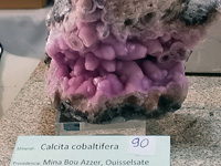 GMA. INTERMINERAL ZARAGOZA 2021. 25 Feria de Minerales, Fósiles y Gemas