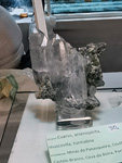 GMA. INTERMINERAL ZARAGOZA 2021. 25 Feria de Minerales, Fósiles y Gemas