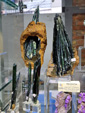 MINERALEXPO Barcelona Sants 2023