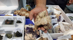 XI Feria de Minerales de Colmenar Viejo 