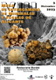 VIII Mesa de Intercambio de Minerales y Fósiles de Alicante. 