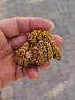 III Feria de Minerales Bella Jarifa