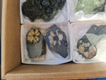III Feria de Minerales Bella Jarifa