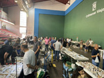 XIII  Feria de Minerales de Colmenar Viejo