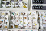 XIII  Feria de Minerales de Colmenar Viejo