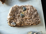 MINERGUALBA 2025. Fira de Minerals del Montseny