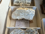 MINERGUALBA 2025. Fira de Minerals del Montseny