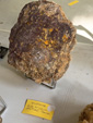 MINERGUALBA 2025. Fira de Minerals del Montseny