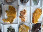 MINERVAL 2025. Feria de Minerales de Valencia