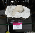 MINERVAL 2025. Feria de Minerales de Valencia