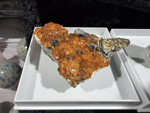 MINERVAL 2025. Feria de Minerales de Valencia