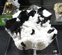 MINERVAL 2025. Feria de Minerales de Valencia
