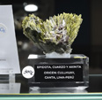 MINERVAL 2025. Feria de Minerales de Valencia