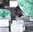 MINERVAL 2025. Feria de Minerales de Valencia