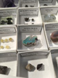 MINERVAL 2025. Feria de Minerales de Valencia