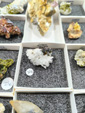 MINERVAL 2025. Feria de Minerales de Valencia