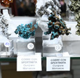 MINERVAL 2025. Feria de Minerales de Valencia
