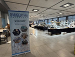 MINERVAL 2025. Feria de Minerales de Valencia