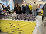 MINERVAL 2025. Feria de Minerales de Valencia