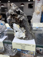 MINERVAL 2025. Feria de Minerales de Valencia