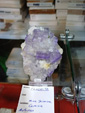 42 Edición Natura Minerales, Fósiles y Gemas