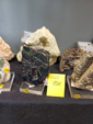 42 Edición Natura Minerales, Fósiles y Gemas