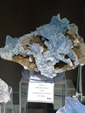 42 Edición Natura Minerales, Fósiles y Gemas