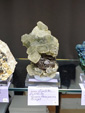 42 Edición Natura Minerales, Fósiles y Gemas