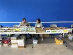 I Feria de Minerales de Pantoja