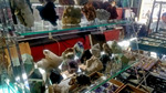 I Feria de Minerales de Pantoja