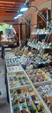 V Feria de Minerales, Rocas y Fósiles de Castilla León 