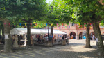 V Feria de Minerales, Rocas y Fósiles de Castilla León 