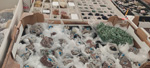 2ª Mesa de Minerales del Mar Menor