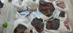 2ª Mesa de Minerales del Mar Menor
