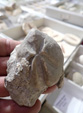 III Feria Internacional Minerales, Fósiles y Gemas de Utrillas
