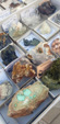 XII Mesa de Intercambio de MInerales de Alicante