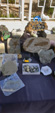 XII Mesa de Intercambio de MInerales de Alicante